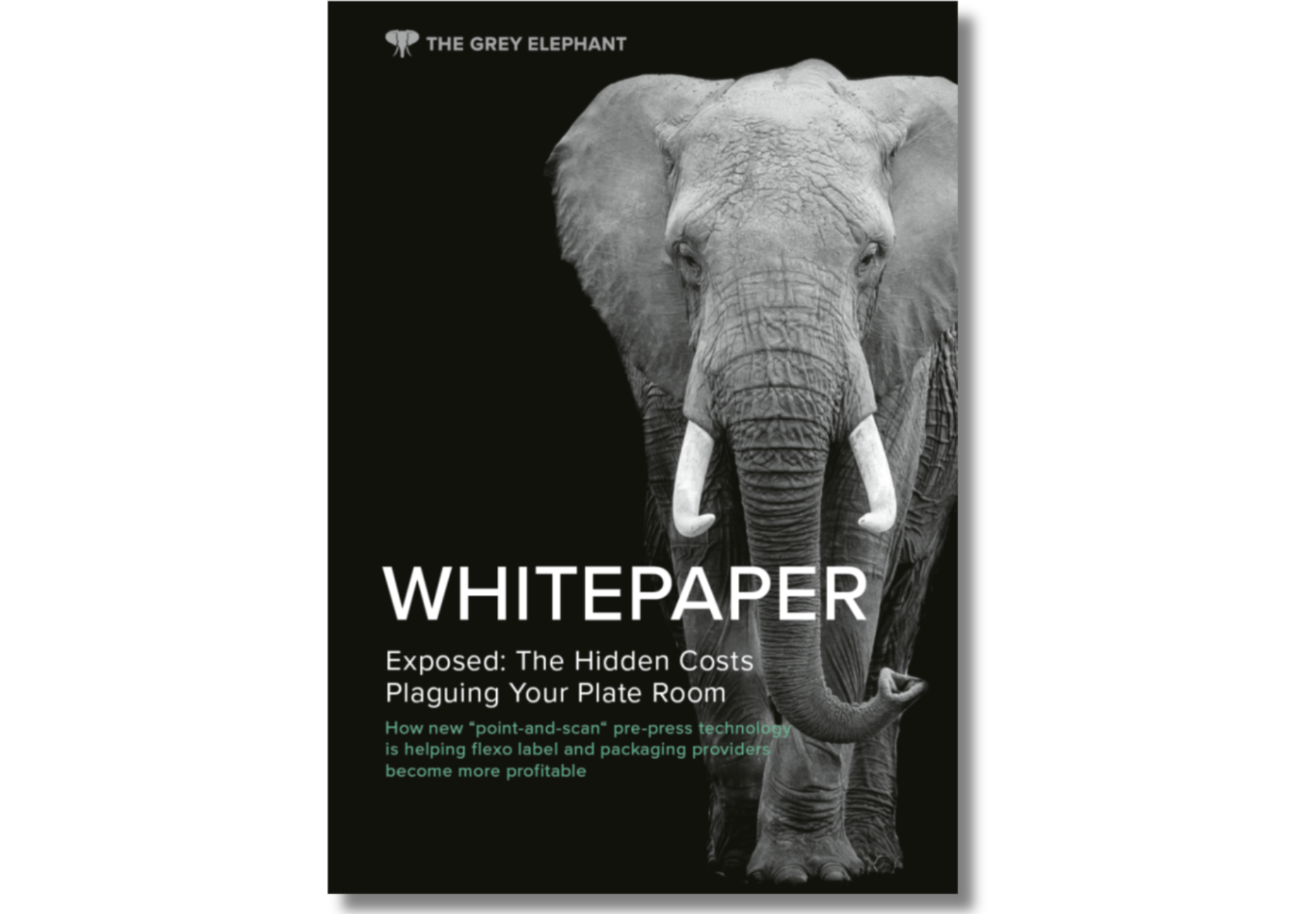 //www.the-grey-elephant.com/wp-content/uploads/2023/09/Whitepaper-cover-landscape.png